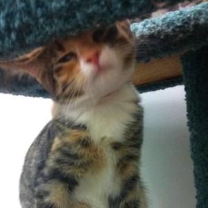 Meet your Posher, Evan